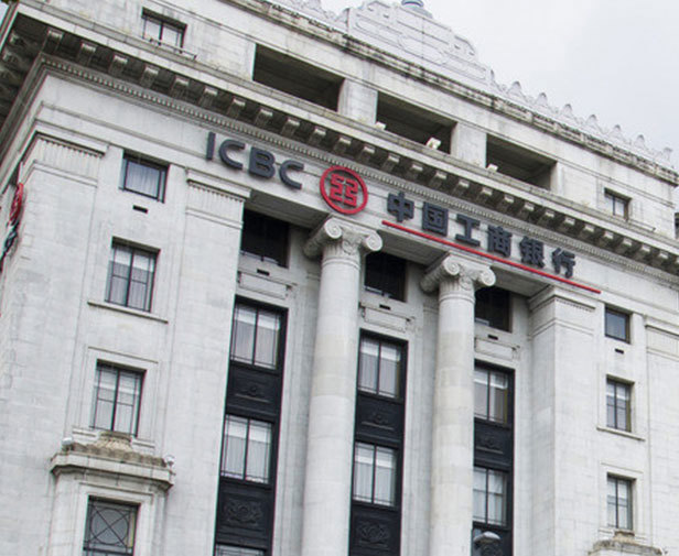 DONCHAMP® Lucent TwinColour Donchamptwincolourhero